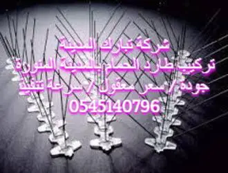 شركة طارد الحمام بالمدينة المنورة