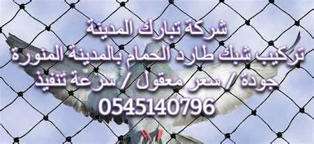 تركيب شبك طارد الحمام بالمدينة المنورة