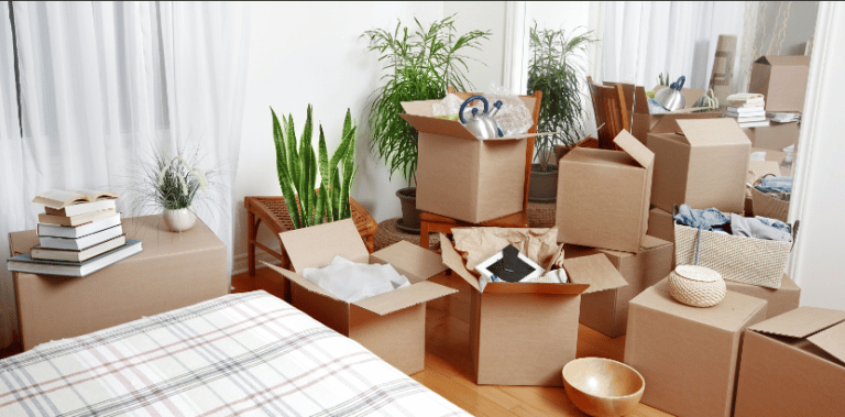 نقل عفش من المدينة إلى خيبر