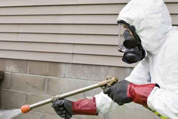 شركة رش مبيدات بالمدينة المنورة