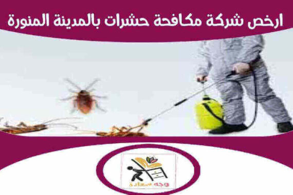 مكافحة حشرات بالمدينة المنورة